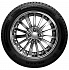 Шина Nexen Winguard Ice Plus 245/45 R18 100T XL