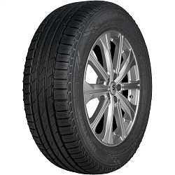 Шина Ikon Nordman S2 SUV 225/65 R17 102H